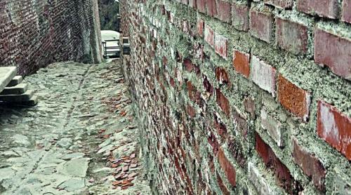 Poenari, în topul scandalurilor de renovare, după Râșnov și Curtea Domnească. Cetatea lui Vlad Țepeș, distrusă de Dorel și cucerită de urși