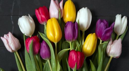 Povestea Zilei Femeii! Cum a fost aleasă ziua de 8 martie. Prima dată a fost celebrată în 28 martie 1909