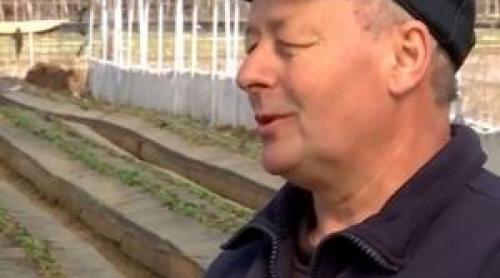 Răsadurile pe care producătorii pariază pentru recolte bogate la vară. Vânzările au început în sere