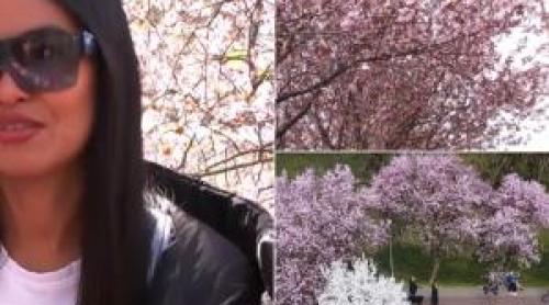 Reacţia unei turiste din Thailanda, care vede pentru prima dată "tunelul iubirii" din Timişoara