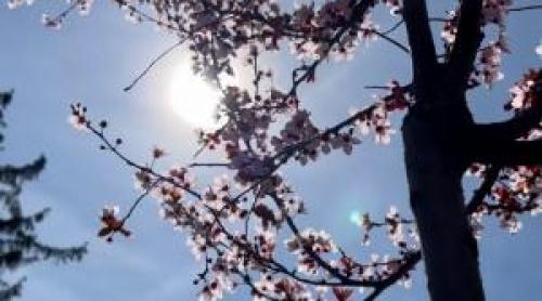 Cum va fi vremea de Paşte. După ninsori şi viscol, vom avea 20 de grade la umbră