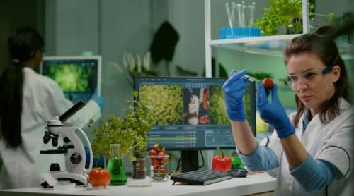 Decizia care ne schimbă mâncarea. Comisia Europeană dezlănțuie invazia plantelor modificate genomic