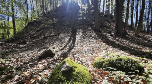 Enigmele sanctuarului de la Pustiosu, de pe Via Transilvanica. Locul tainic al dacilor, lângă fostele mine de uraniu