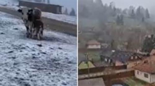 Locul din România unde s au înregistrat  9°C la final de aprilie. În Suceava a nins ca în plină iarnă