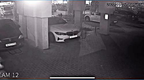 O altercație între doi câini s a lăsat cu un întreg proces. Despăgubiri de peste 50.000 de lei stabilite de instanță