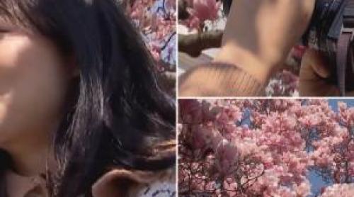 Reacția unei tinere din China, impresionată de magnoliile din Capitală: "Superbe, am văzut asta pe Instagram"