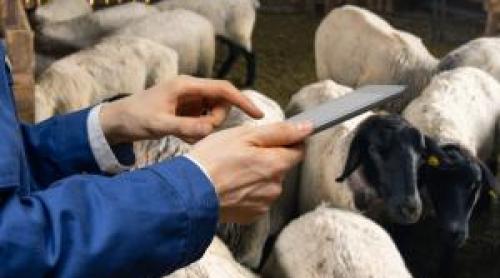 Salariul e aproape 2.400 €, dar nimeni nu vrea această meserie. Angajatorii sunt disperați