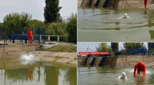 ANIMAȚIE. Băiatul de 16 ani care s a aruncat în Lacul Chitila ca să își salveze prietena nu știa să înoate
