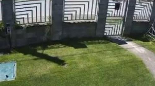 Băiatul de 14 ani din Timiş care a căzut cu trotineta este în moarte cerebrală. Mătuşa cere interzicerea lor