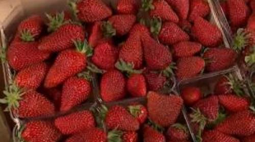 Cât mai durează până apar fructele românești în piețe. Anul acesta se lasă așteptate