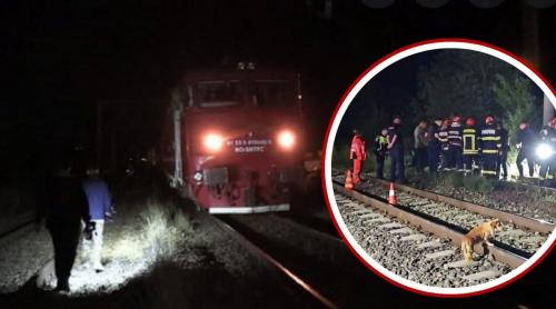 Ce s a întâmplat, de fapt, în cazul femeii de 49 de ani călcată de tren din Petroșani. Cum și a salvat fata cu câteva clipe înainte de impact: „A revenit să ia un cărucior”