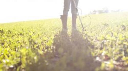 Descoperire inedită făcută de un bărbat pe un teren agricol dintr o comună din Iași. Vechi de 3.000 de ani