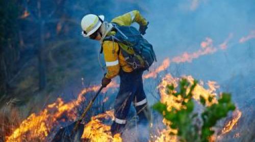 Fenomenul extrem care va aduce temperaturi record în acest an. Experții trag un semnal de alarmă
