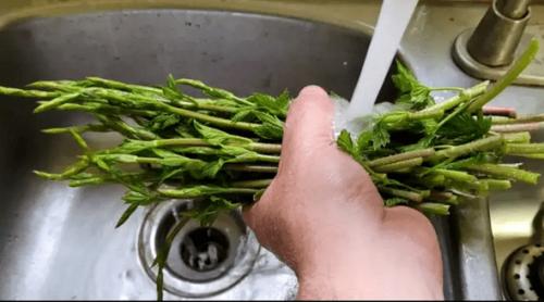 Leguma de lux care costă și 1.000 de euro/kg crește, în România, pe toate drumurile