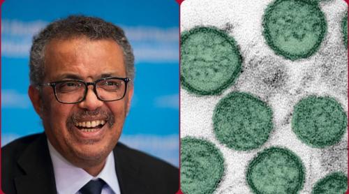 OMS, prima reacție privind focarul de hantavirus izbucnit la bordul unei nave de croazieră: Nu reprezintă începutul unei pandemii