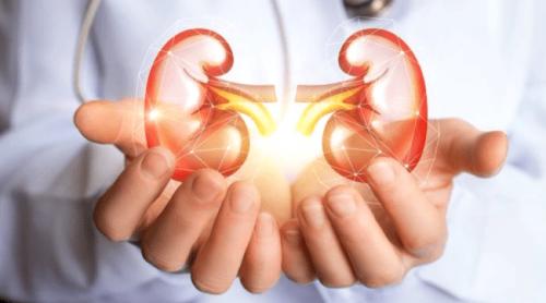 Organul care cedează primul și poate afecta întregul organism fără să dea niciun semn de alarmă: 3 pași simpli pentru a încetini degradarea