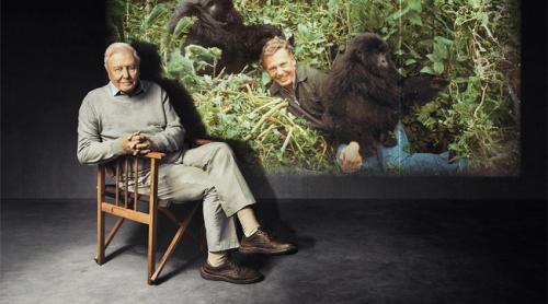 Sir David Attenborough, la 100 de ani. Mike Davis, producător BBC: „Pasiunea autentică este cel mai bun tonic din viață“
