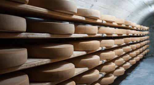 Cum a ajuns brânza să fie păzită de crima organizată. Jaful celor 22 de tone de cheddar care a zguduit industria alimentară