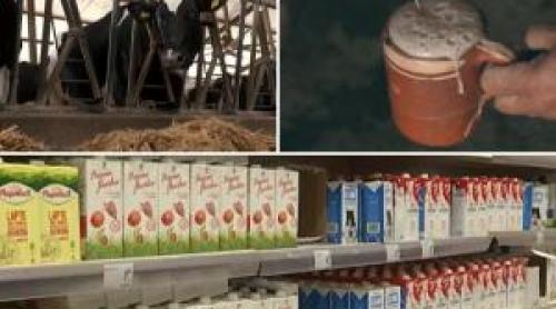 De ce fermierii vând laptele cu 70 de bani litrul, iar în magazine ajunge la peste 5 lei