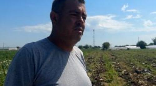 Leguma care a ajuns simbolul risipei în România. Fermierii o aruncă pe câmp, magazinele vând din import