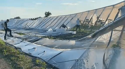 „N am văzut niciodată așa ceva!” Solariile din Buzău, distruse în 5 minute de vijelie. „Vin roșiile din Turcia”