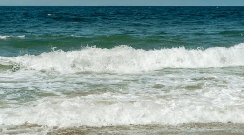 O bacterie „devoratoare de carne” se înmulțește rapid în Marea Neagră. Și turiștii de pe plajele din România se pot infecta