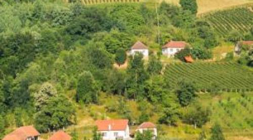 Oraşul care a renăscut datorită exportului de "aur roşu" în întreaga lume