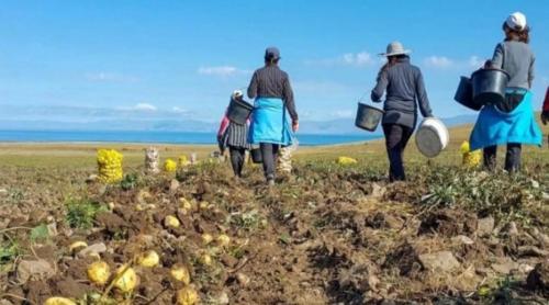 Românii pleacă din Spania, iar efectele încep să se vadă. Aproape 200.000 de persoane au dispărut din statistici, în timp ce ibericii intră în criză de forță de muncă