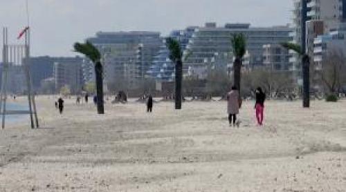 Stațiunile de pe litoral care vor avea perdele verzi pentru umbră și răcoare. Peste 200 de copaci plantaţi