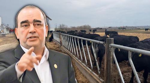 Domeniul de o importanță deosebită în România în care a dat lovitura Gigi Neţoiu. În ce a investit? „E cea mai tare din Europa”