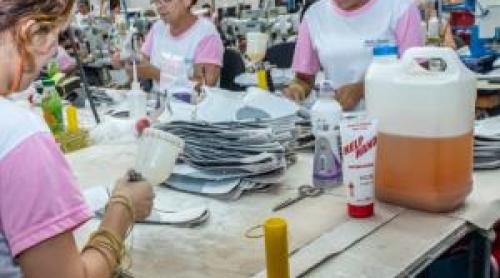Peste 1000 de locuri de muncă ar putea apărea în vecinătatea României. Fabrica va angaja în special femei