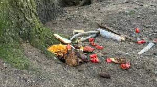 Revoltător! Ce au lasat în urma lor niște turiști români pe un traseu de munte | FOTO