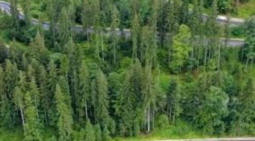 Șoseaua care a inspirat "Baltagul", redescoperită de turiști. Cât costă o vacanță pe Drumul Talienilor