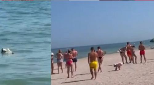 Alertă pe litoral! Turiștii au fost scoși de urgență din apă