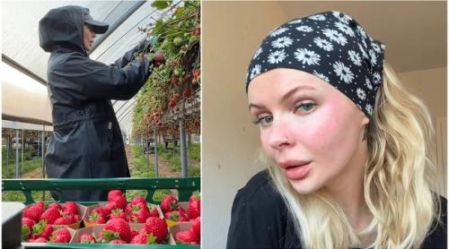 Câți bani a câștigat o influenceriță poloneză la cules de căpșuni în Germania. A muncit 33 de zile