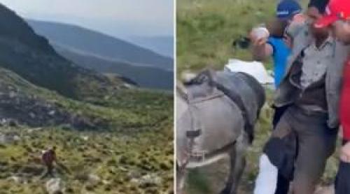 Cioban muşcat de picior de urs în Masivul Iezer. A încercat să l alunge cu bâta pentru a şi apăra turma