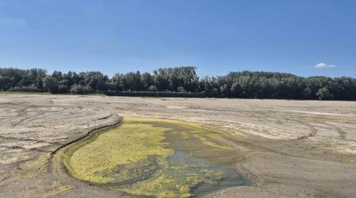 Imagini ireale pe Dunăre: unul dintre cele mai mari fluvii ale Europei a devenit o mlaștină în județul Giurgiu