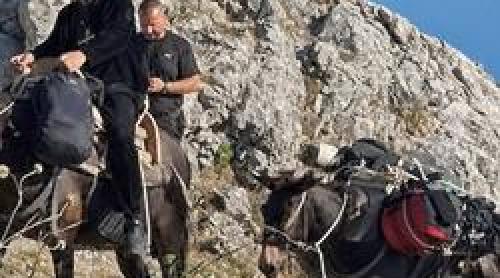 Imagini virale: Gigi Becali călare pe catâr, la cota 1500