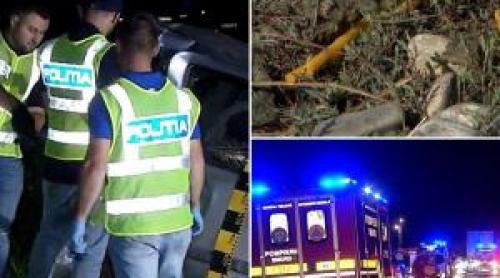 "Mamă, ce e aici!" 4 copilași, orfani de părinți, după ce un tânăr fără permis i a ucis. Tragedie cu 5 morţi