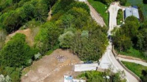 O pădure veche de 500 de ani, defrişată ilegal pentru turişti. "Rechinul" imobiliar a primit o lovitură grea