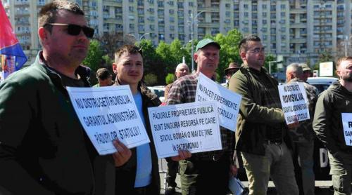 Restructurarea Regiei Romsilva, demolată de un audit recomandat chiar de Ministerul Mediului