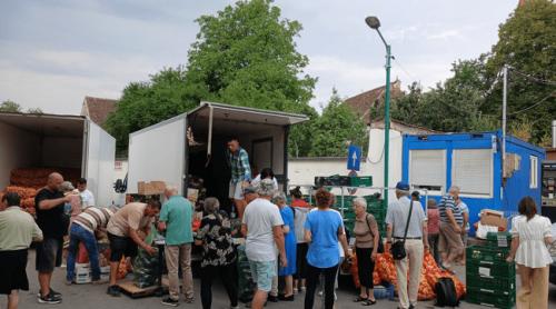 Revolta legumicultorilor: roșiile pleacă din Olt cu 1,5 lei și ajung la peste 5 lei în Ardeal. Cer controale și eliminarea samsarilor