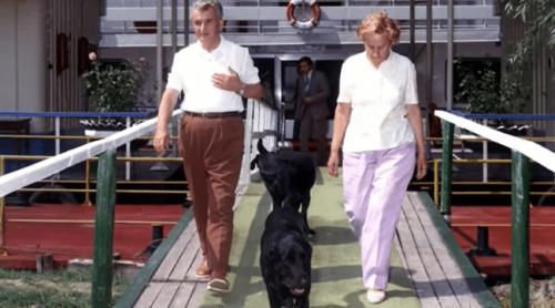 Soarta tragică a câinilor soților Ceaușescu, după moartea cuplului: În timpul fostului regim erau hrăniți cu biscuiți englezești, aduși prin poșta diplomatică