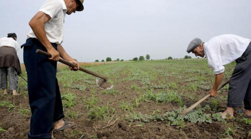 Sute de mii de pensionari primesc mai puțin de 1.000 de lei. Foștii agricultori, printre cei mai afectați