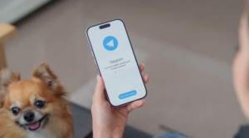 Telegram a dispărut din App Store în mai multe țări, apoi a revenit. Ce s a întâmplat cu aplicația