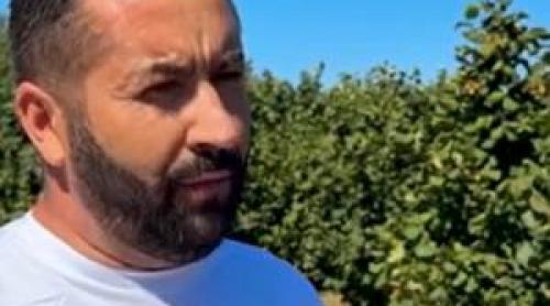 A dat lovitura cu un fruct tot mai căutat. Recolta ajunge direct în Italia