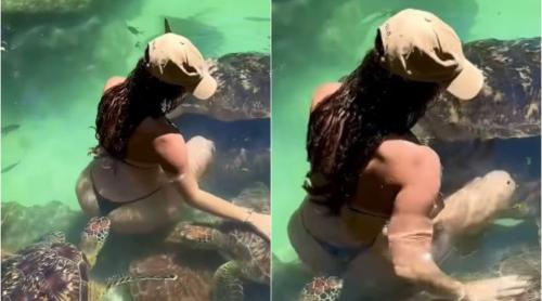 Ce a pățit o influenceriță după ce a fost mușcată de o țestoasă marină în vacanța din Zanzibar