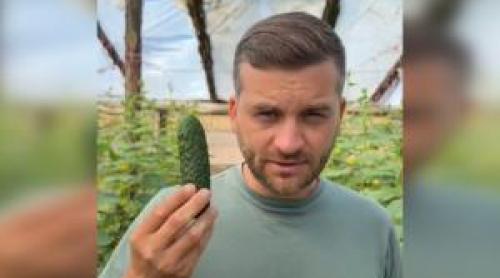 Comuna unde se dau castraveţi gratis, cu o condiţie: "Puteți să faceți afaceri cu ei, nu mă interesează"