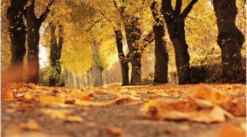 Cum va fi vremea în luna octombrie. Prognoza detaliată emisă de ANM pentru fiecare săptămână în parte