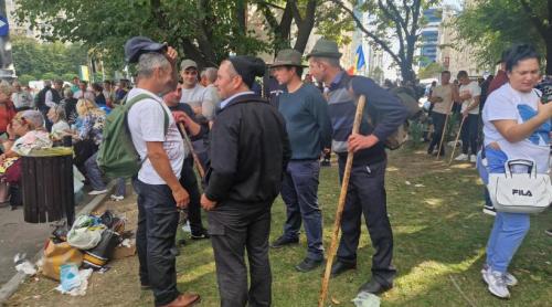Disperarea ciobanilor. „Ursul îți ia o oaie, două. Guvernul îți ia toată turma”